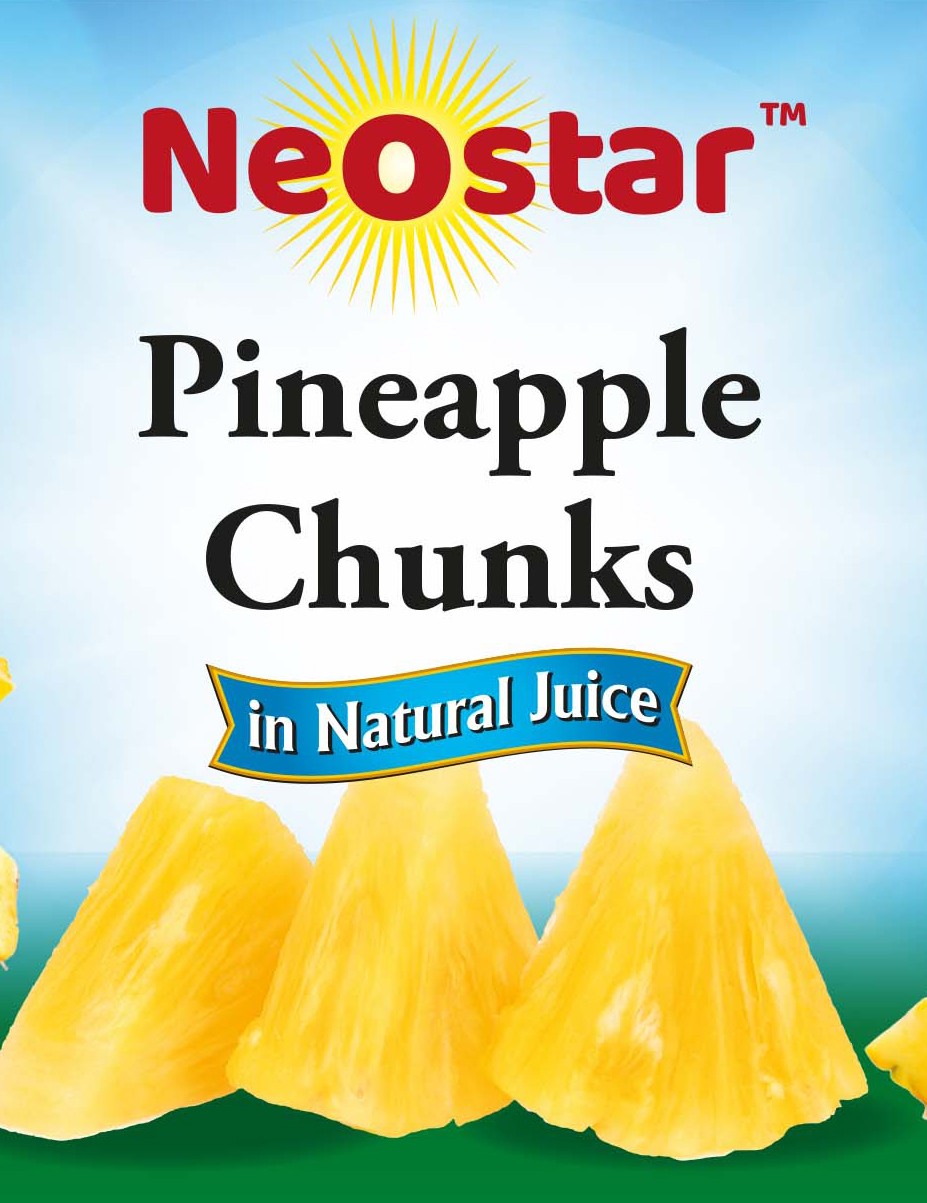 #2 (20oz) Pineapple Chunks, Natural Juice